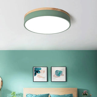 Morandi Nordic LED Round Flush Mount Ceiling Light, Study/Bedroom & Living Room