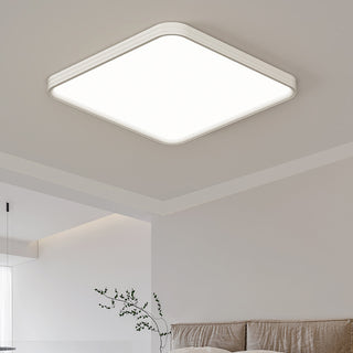 White Simple Ceiling Light, 3 Styles