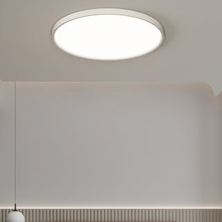 White Simple Ceiling Light, 3 Styles