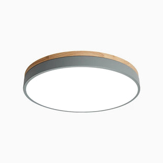 Morandi Nordic LED Round Flush Mount Ceiling Light, Study/Bedroom & Living Room