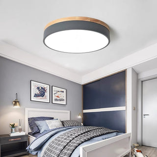 Morandi Nordic LED Round Flush Mount Ceiling Light, Study/Bedroom & Living Room