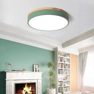 Morandi Nordic LED Round Flush Mount Ceiling Light, Study/Bedroom & Living Room