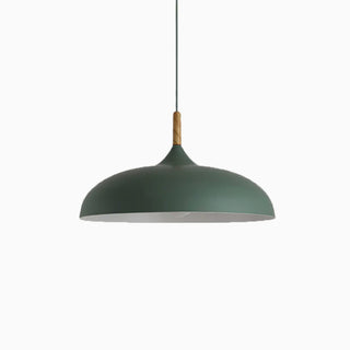 Multicolor Matte Texture Pendant Light,2 Size