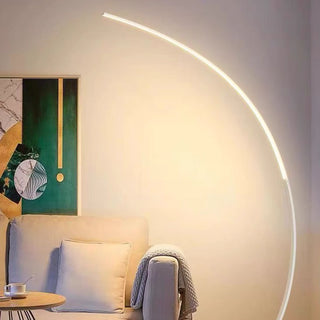 C Shape LED Arc Floor Lamp,2 Color