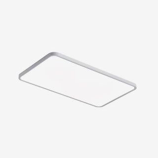 White Simple Ceiling Light, 3 Styles