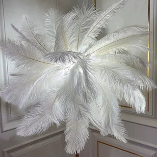 Feather Floor Lamp, Ostrich Feather & Metal