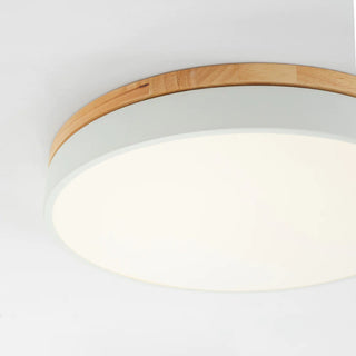 Morandi Nordic LED Round Flush Mount Ceiling Light, Study/Bedroom & Living Room