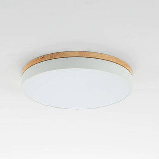 Morandi Nordic LED Round Flush Mount Ceiling Light, Study/Bedroom & Living Room