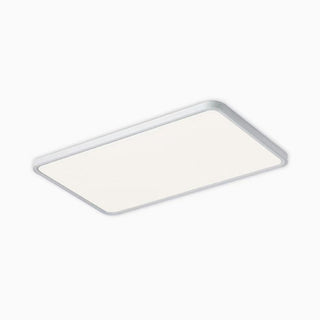 White Simple Ceiling Light, 3 Styles