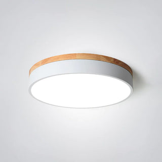 Morandi Nordic LED Round Flush Mount Ceiling Light, Study/Bedroom & Living Room