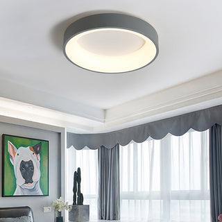 Flush Mount Ceiling Light