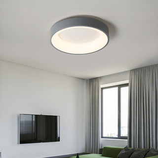 Flush Mount Ceiling Light