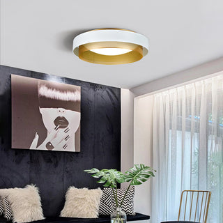 Flush Mount Ceiling Light