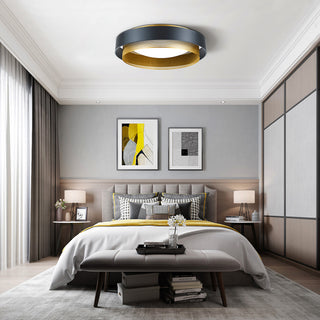 Flush Mount Ceiling Light