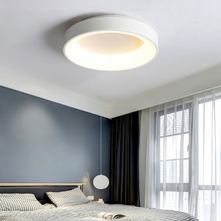 Flush Mount Ceiling Light