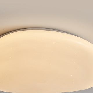 Cobblestone Flush Mount Ceiling Light