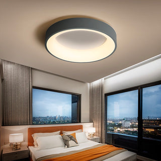 Flush Mount Ceiling Light