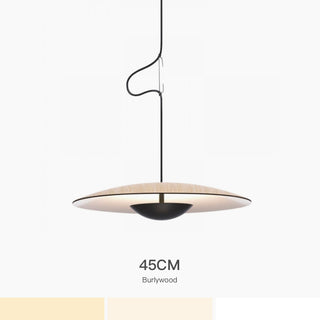 UFO Shape Pendant Light