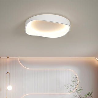 Flush Mount Ceiling Light