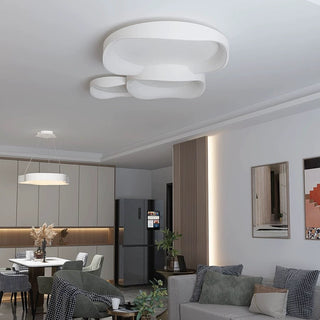 Flush Mount Ceiling Light