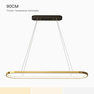 Minimalist Oval Gold Pendant Light