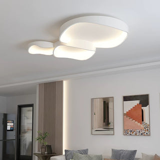 Flush Mount Ceiling Light