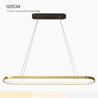 Minimalist Oval Gold Pendant Light