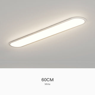 Simple Ultra-thin Seamless Two-color Edge Ceiling Lamp