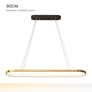 Minimalist Oval Gold Pendant Light