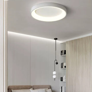 Flush Mount Ceiling Light