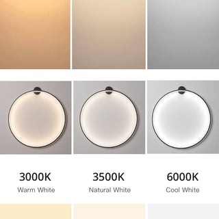 Minimalist Atmospheric Line Two-color Ring Wall Lamp