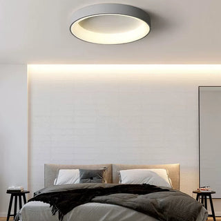 Flush Mount Ceiling Light