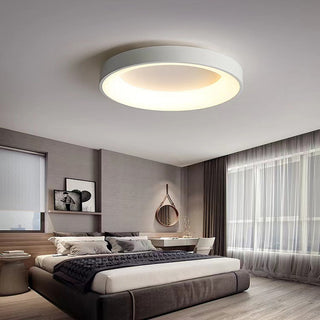 Flush Mount Ceiling Light