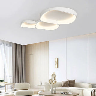 Flush Mount Ceiling Light