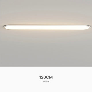 Simple Ultra-thin Seamless Two-color Edge Ceiling Lamp