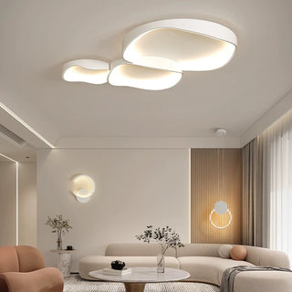 Flush Mount Ceiling Light