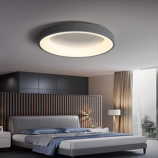 Flush Mount Ceiling Light