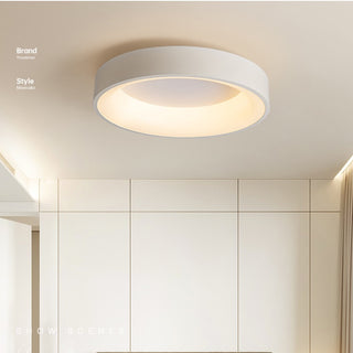 Flush Mount Ceiling Light