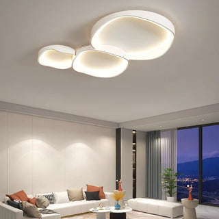 Flush Mount Ceiling Light