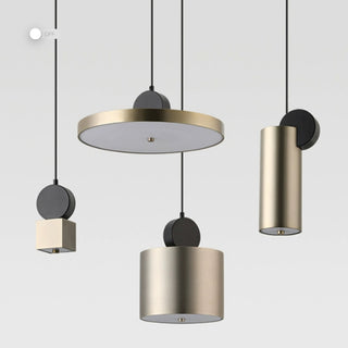 Designer Creative Post-modern Entry Lux Pendant Light,5 Style