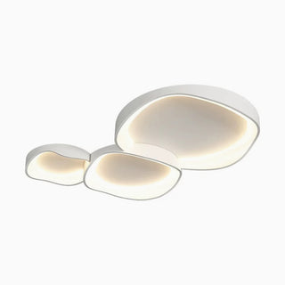 Flush Mount Ceiling Light