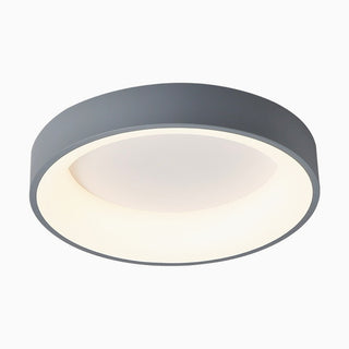 Flush Mount Ceiling Light