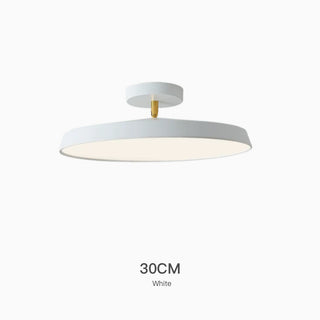 Simple Circular Creative Rotatable Ceiling Light,3 Color