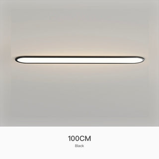 Simple Ultra-thin Seamless Two-color Edge Ceiling Lamp