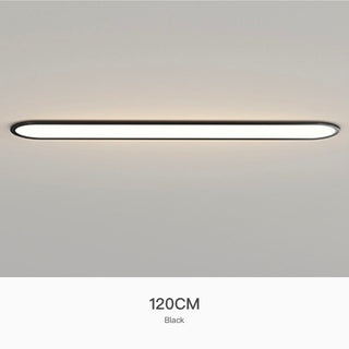 Simple Ultra-thin Seamless Two-color Edge Ceiling Lamp