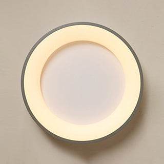 Flush Mount Ceiling Light