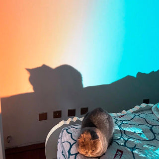 Sunset Projection Ambient Floor Lamp