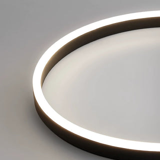 Halo Flush Mount Ceiling Light