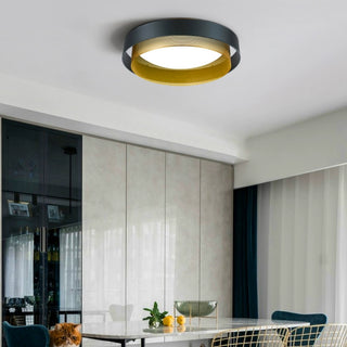 Flush Mount Ceiling Light