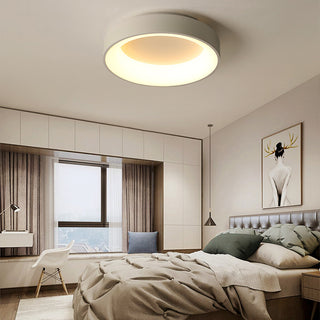 Flush Mount Ceiling Light